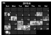 OLYMPUS TG-6 - Affichage de l'index/Affichage du calendrier - 10