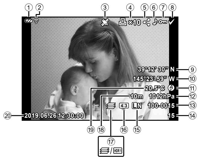 OLYMPUS TG-6 - Affichage des informations pendant la lecture - 1