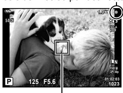 OLYMPUS TG-6 - Prendre des photos (mode AUTO) - 5