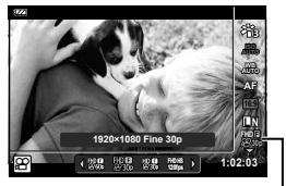 OLYMPUS TG-6 - Données d'image RAW - 1