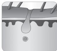 BABYLISS G947ECO - Cycle de croissance du poil - 7