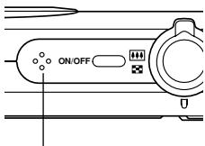 CASIO EX-Z600 - IMPORTANT！ - 1