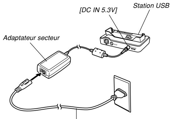 CASIO EX-Z600 - Charger la batterie - 1