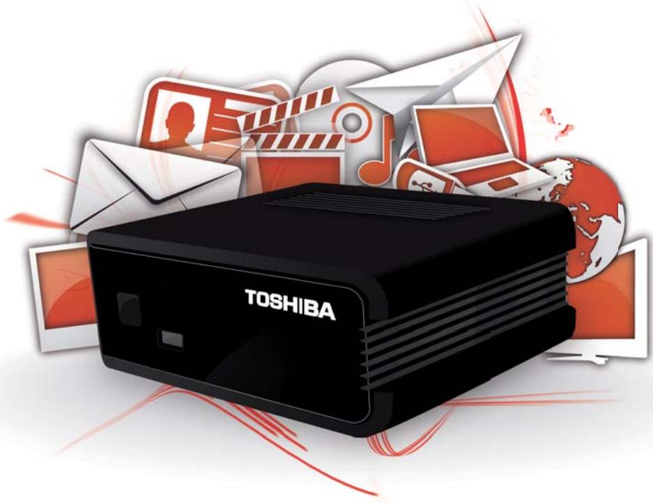 TOSHIBA STB1F - 1