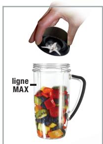 NUTRIBULLET Nutribalance - Extraction des nutriblast™ - 1