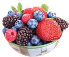 NUTRIBULLET Nutribalance - En 4 étapes simplement ! - 1