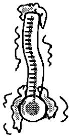 PHILIPS AMW521IXINOX - Aliments surgelés : - 1