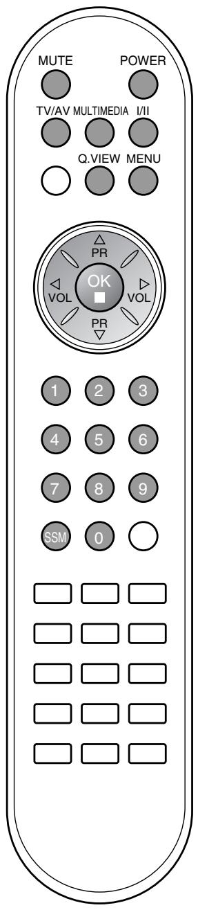 LG-GOLDSTAR RZ30LZ50 - Sélection de la langue pour l'affichage écran (en option) - 1