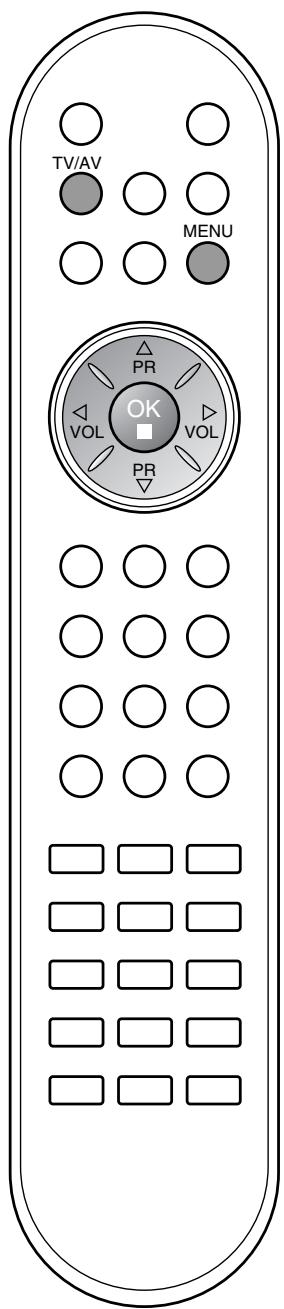LG-GOLDSTAR RZ30LZ50 - Mémorisation des chaînes - 2