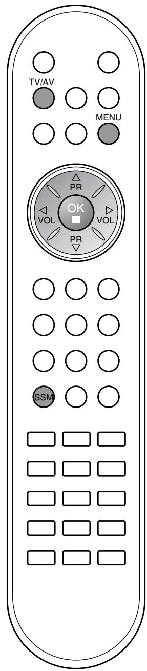 LG-GOLDSTAR RZ30LZ50 - Réglage du son - 3