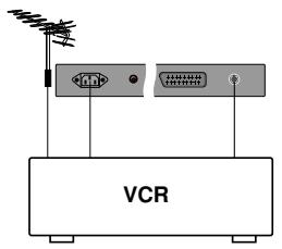 LG-GOLDSTAR RZ30LZ50 - Branchements externes - 1