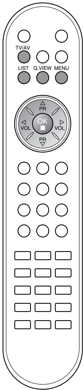 LG-GOLDSTAR RZ30LZ50 - Mémorisation des chaînes - 2