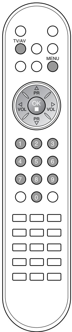 LG-GOLDSTAR RZ30LZ50 - Mémorisation des chaînes - 2
