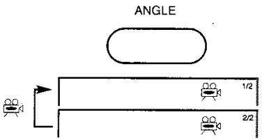 PROLINE DVD 1040 ARGENT - Appuyer sur le bouton "ANGLE" (Angle) pendant la lecture d'une scène ayant des angles multiples - 1