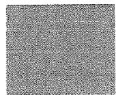 TOSHIBA SD-330E - Appuyez sur ZOOM pendant la lecture normale, le ralenti ou l'arrêt sur image. - 2