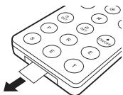 GENEVA L WIRELESS NOYER - PRISE EN MAIN - 1