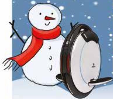 INMOTION V5+ - Consignes de stockage - 1