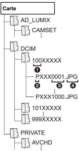 PANASONIC OMe51R - Structure des dossiers d'une carte - 1