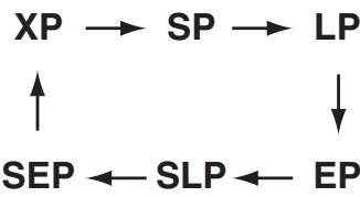 TOSHIBA DR265 - Enregistrement à partir d'une source externe - 4