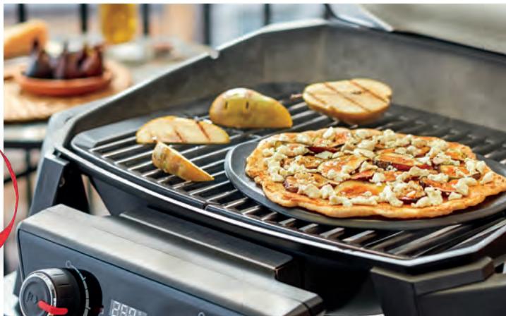 WEBER PULSE 2000 AVEC CHARIOT - PIECES DE RECHANGE - 5