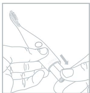 COPIC FOREOiSSA - NETTOYAGE DE VOTRE ISSA™ PLAY - 2