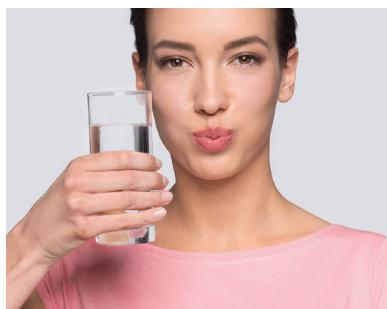 COPIC FOREOiSSA - BROSSER - 1