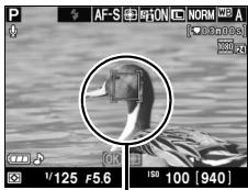 NIKON D130018-55 - Choiser le point AF. - 5