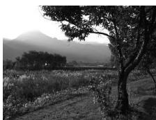 NIKON D130018-55 - D-Lighting actif - 1