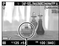 NIKON D130018-55 - Choiser le point AF. - 3