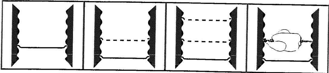 SCHOLTES FX 46.1 AN ANTH - La sécurité infant - 3