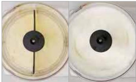MAGIMIX 5200PREM CHROM MAT - COUTEAUMÉTAL - 22