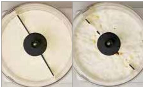 MAGIMIX 5200PREM CHROM MAT - MONTES les blancs en neige - 3