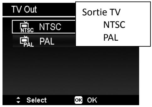 HITACHI HDC1610E - Sortie TV - 1
