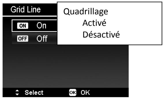 HITACHI HDC1610E - Quadrillage - 1
