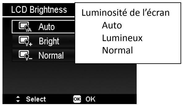 HITACHI HDC1610E - Luminosité de l'écran - 1