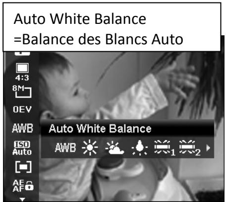 HITACHI HDC1610E - Balance des Blancs - 1