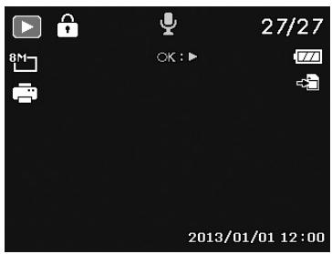 HITACHI HDC1610E - Affichage par fichier unique - 1