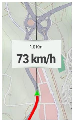 TWONAV ANIMA 3.3 FRANCE ENTIERE - SECTIONS AUTOMATIQUES - 5