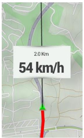 TWONAV ANIMA 3.3 FRANCE ENTIERE - SECTIONS AUTOMATIQUES - 6