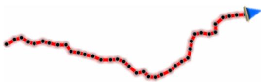 TWONAV ANIMA 3.3 FRANCE ENTIERE - OPÉRATIONS AVANÇÉES : TRACES - 5