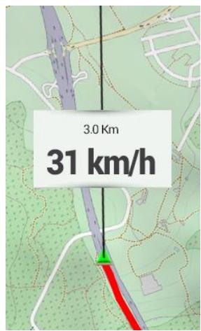 TWONAV ANIMA 3.3 FRANCE ENTIERE - SECTIONS AUTOMATIQUES - 7