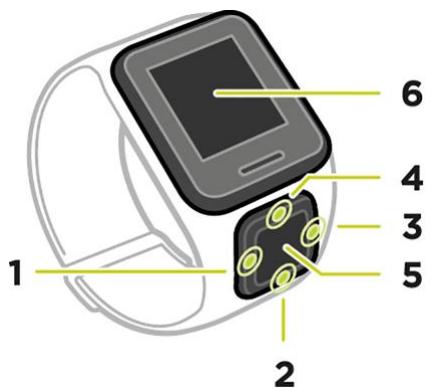 TOMTOM SPARK GPS LARGE MARRON - À propos de votre montre - 1