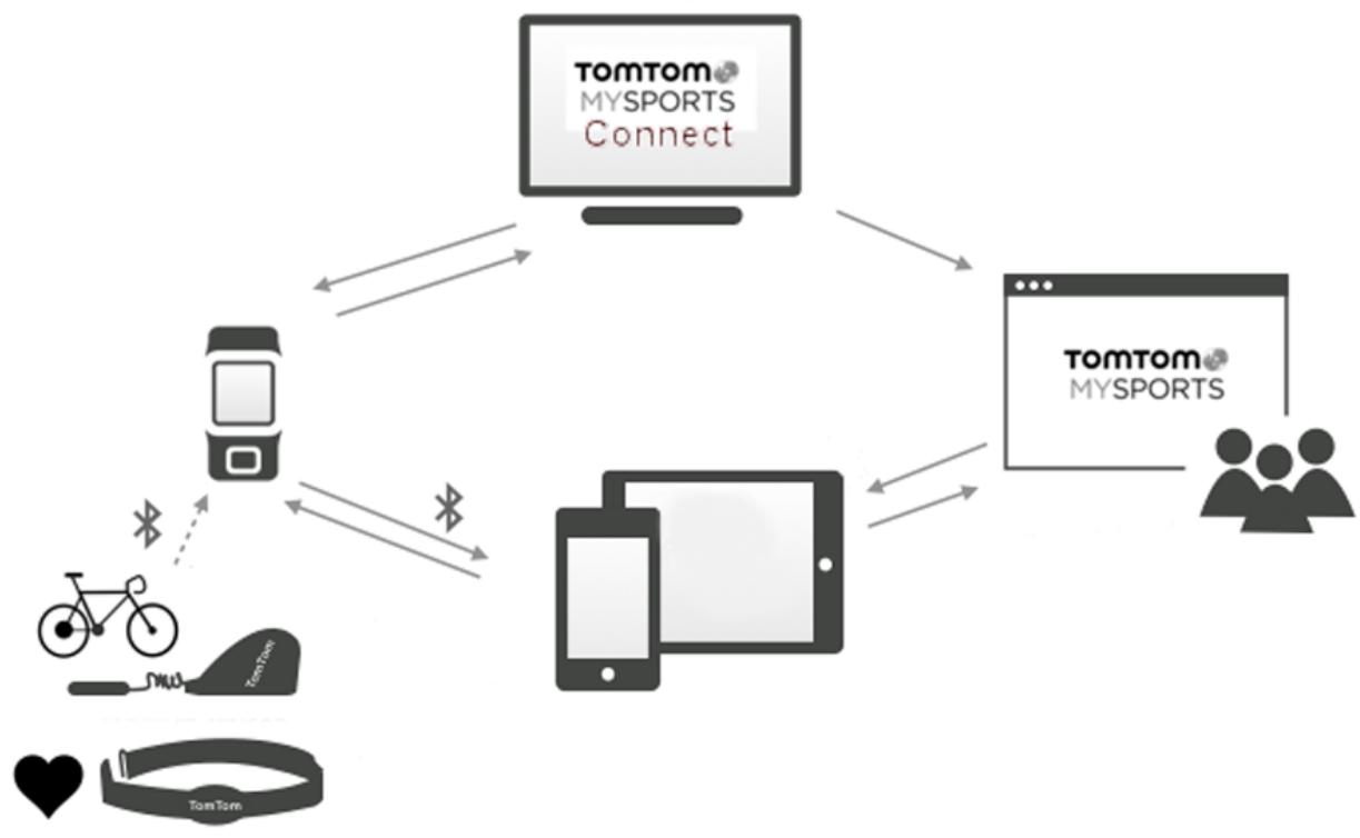 TOMTOM SPARK GPS LARGE MARRON - Compte TomTom MySports - 1