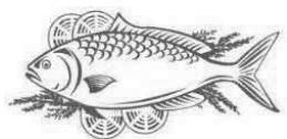 THOMSON CTH3S1'7IX - Poisson et fruits de mer - 2