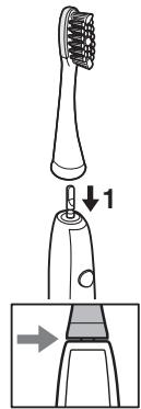 PANASONIC EW-DM81-W503 - Placer la Brosse à dents dans votre bouche. - 1