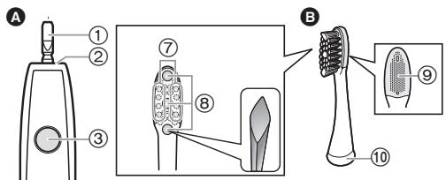 PANASONIC EW-DM81-W503 - Identification des pieces - 1