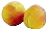 MAGIMIX 18026 DUO XL BLANC - Abricot, Pêche, Nectarine - 4