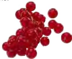 MAGIMIX 18026 DUO XL BLANC - Cassis, Groseille, Myrtable - 3