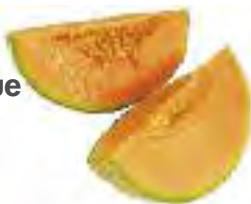 MAGIMIX 18026 DUO XL BLANC - Melon, Pastèque - 1