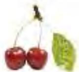 MAGIMIX 18026 DUO XL BLANC - Cerise - 4